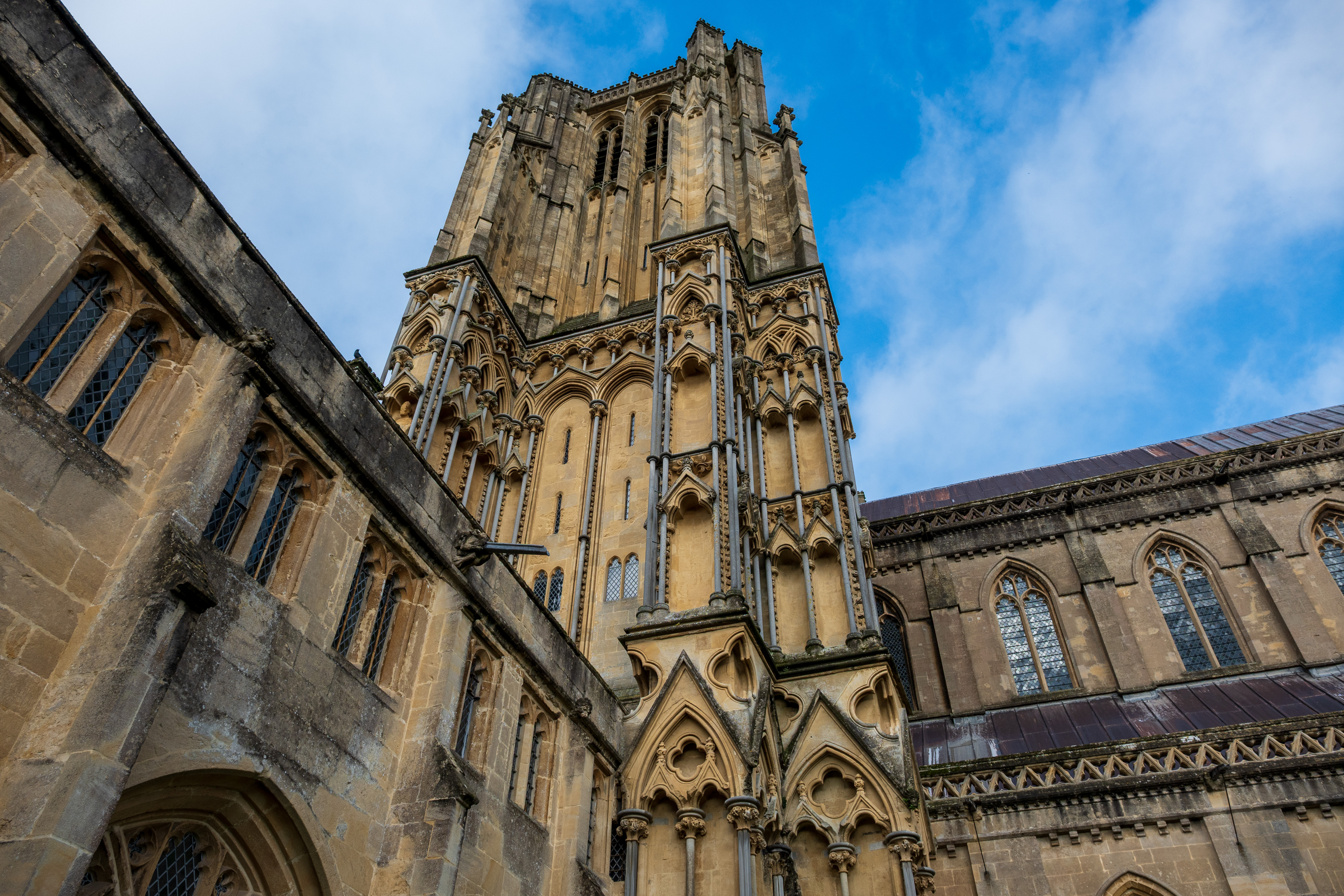 Nikon Z DX 16-50mm f/2.8 VR example shot