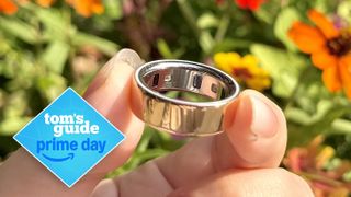 a photo of the Oura Ring 4