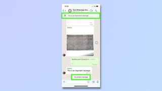 screenshot showing how to pin whatsapp chats on an iphone - message pinned