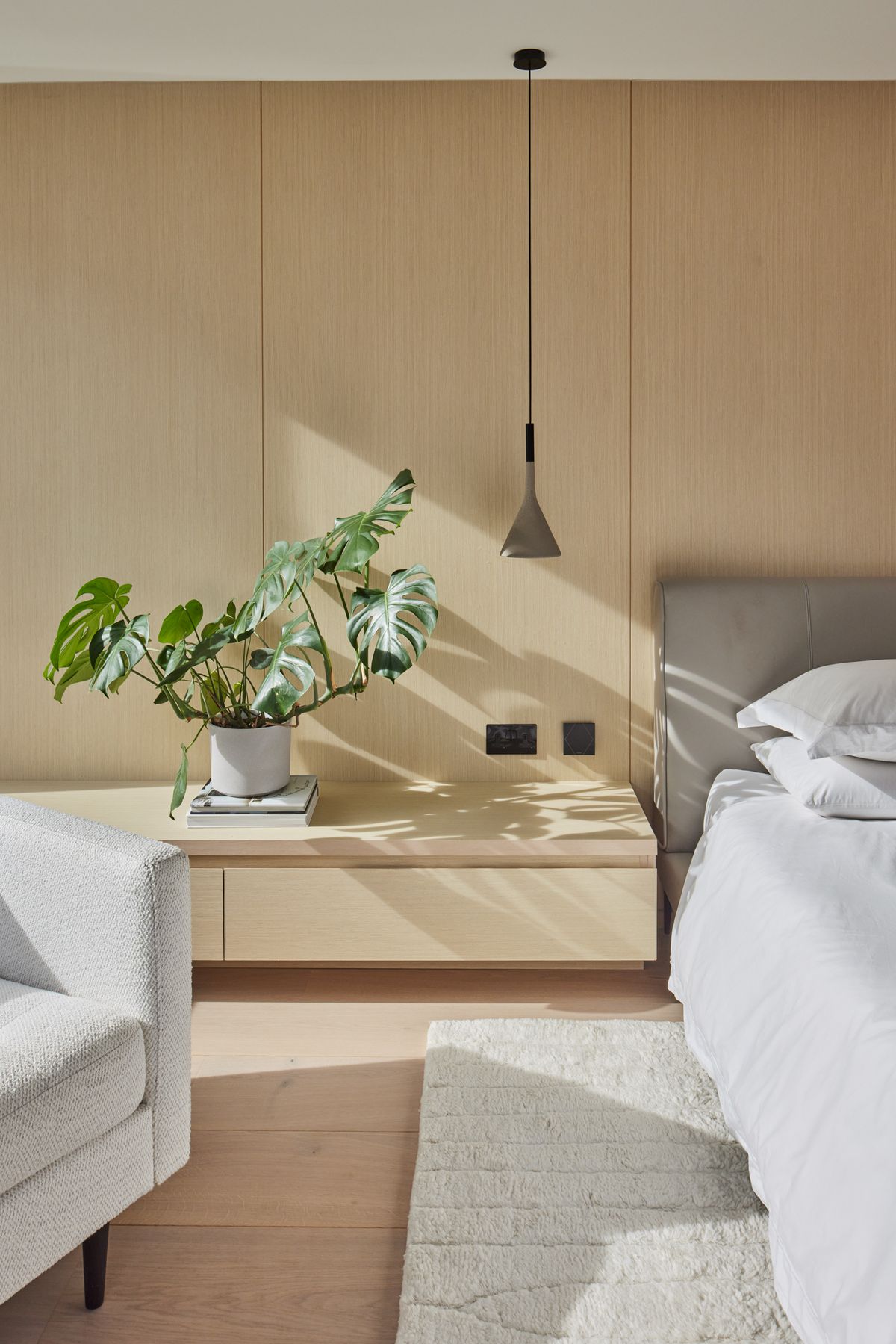 A contemporary bedroom with plywood walls and a large houseplant
