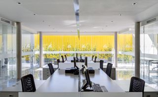 Contemporary white office with floor to ceiling windows showing planting at one end against yellow wall