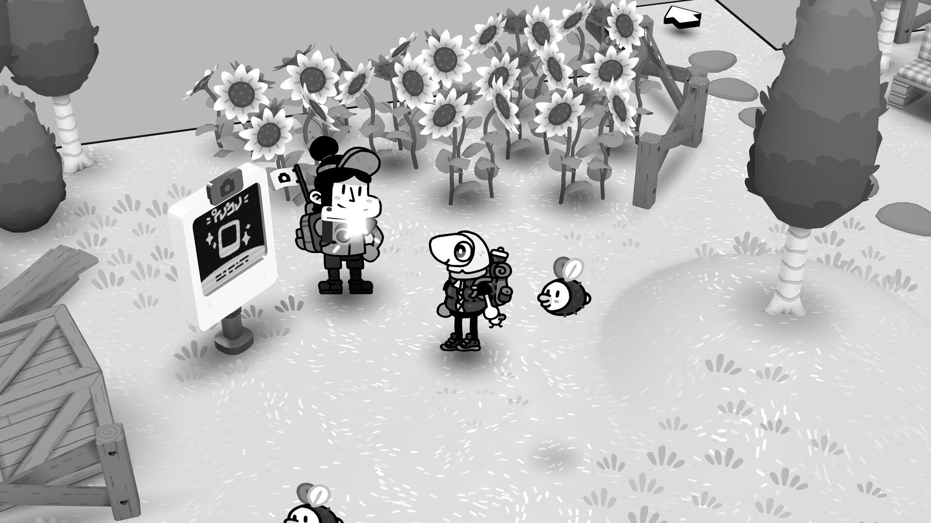 Toem 2 - the player stands at a photo stop having their picture taken near some sunflowers in black and white