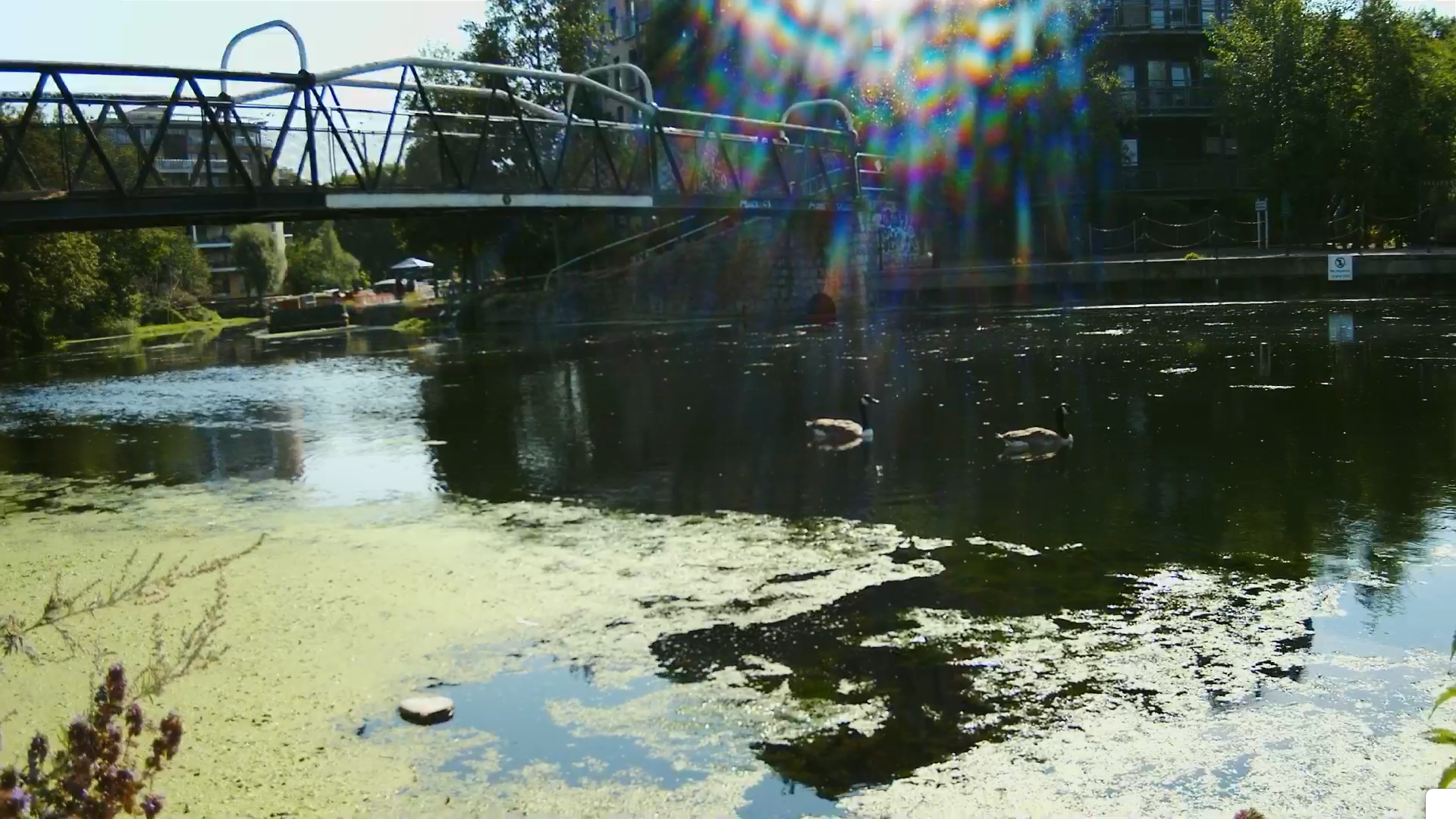 A screenshot from a time-lapse video of a river taken with the ATLi Eon, showing pronounced lens flare