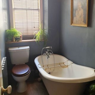 bathroom with blue walls and wooden flooring white bathtub and western commode with sash windows