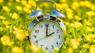 A silver analogue clock in a field of yellow flowers to show daylight saving time.