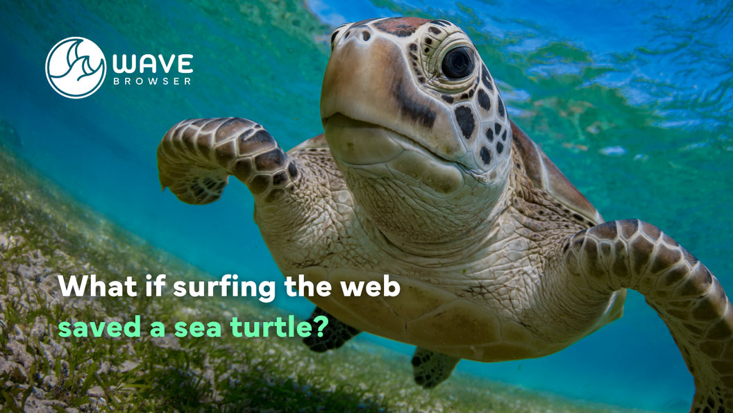 Wave Browser turns your browsing sessions into action that cleans up the ocean.