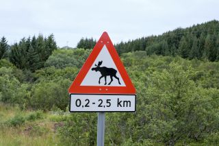 Beware of the Moose sign in Norway, pictured in 2016.