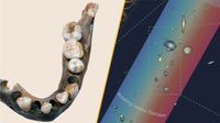 Left image shows remains of an ancient jawbone, right image shows a graphic illustration of numerous galaxies together