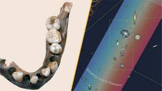Left image shows remains of an ancient jawbone, right image shows a graphic illustration of numerous galaxies together