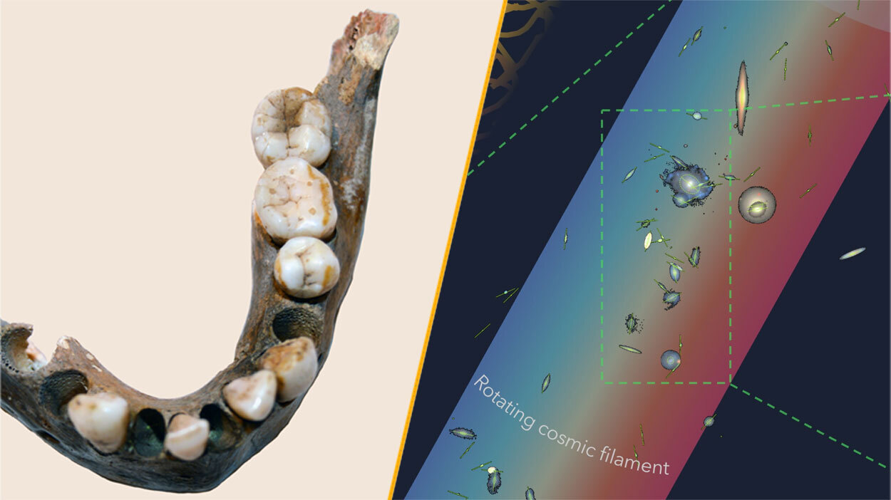 Left image shows remains of an ancient jawbone, right image shows a graphic illustration of numerous galaxies together