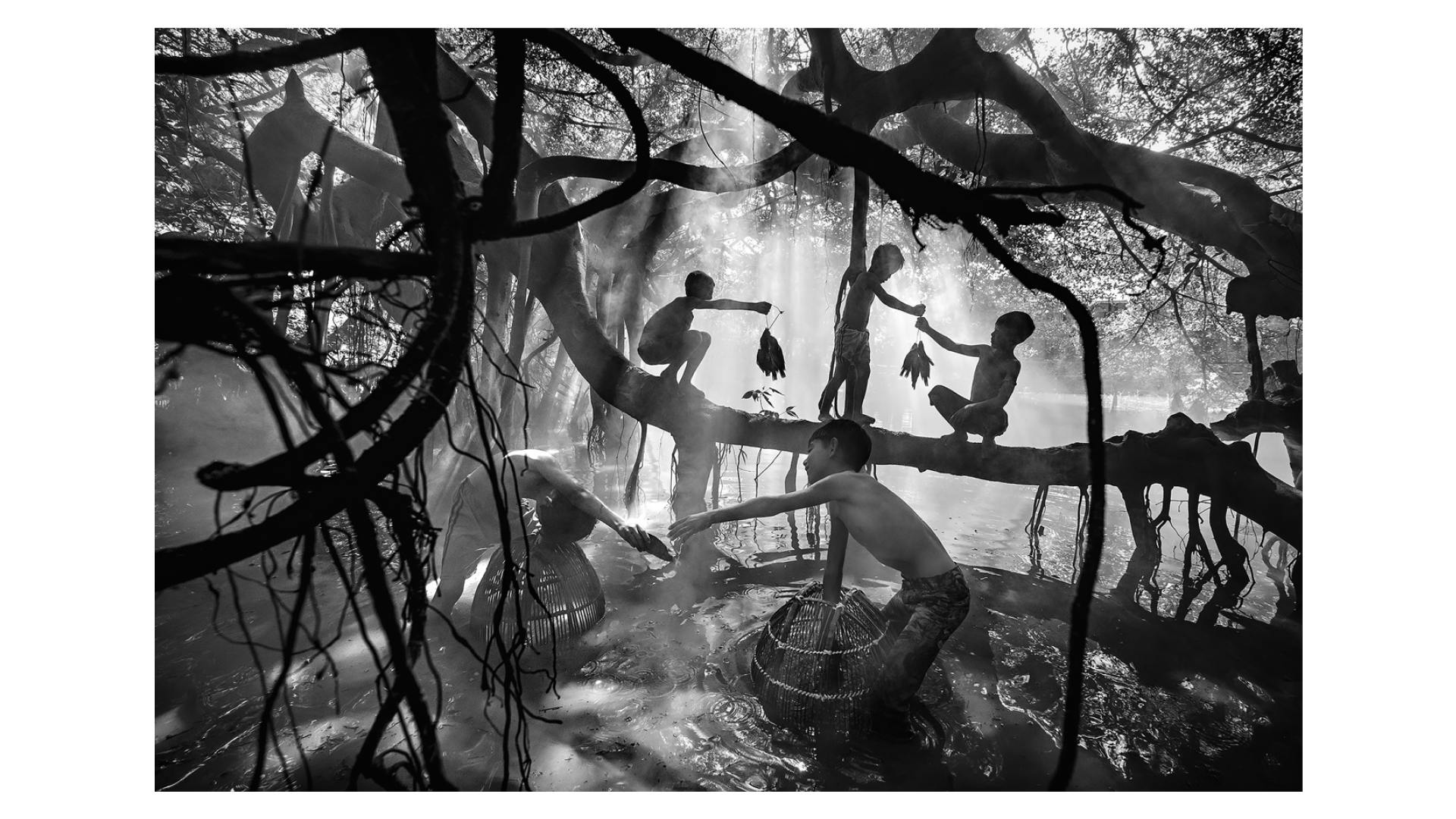 The Best Shots From Photography Awards And Competitions Digital 