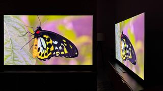 Samsung S95C TV showing butterfly on screen and also shown from angle