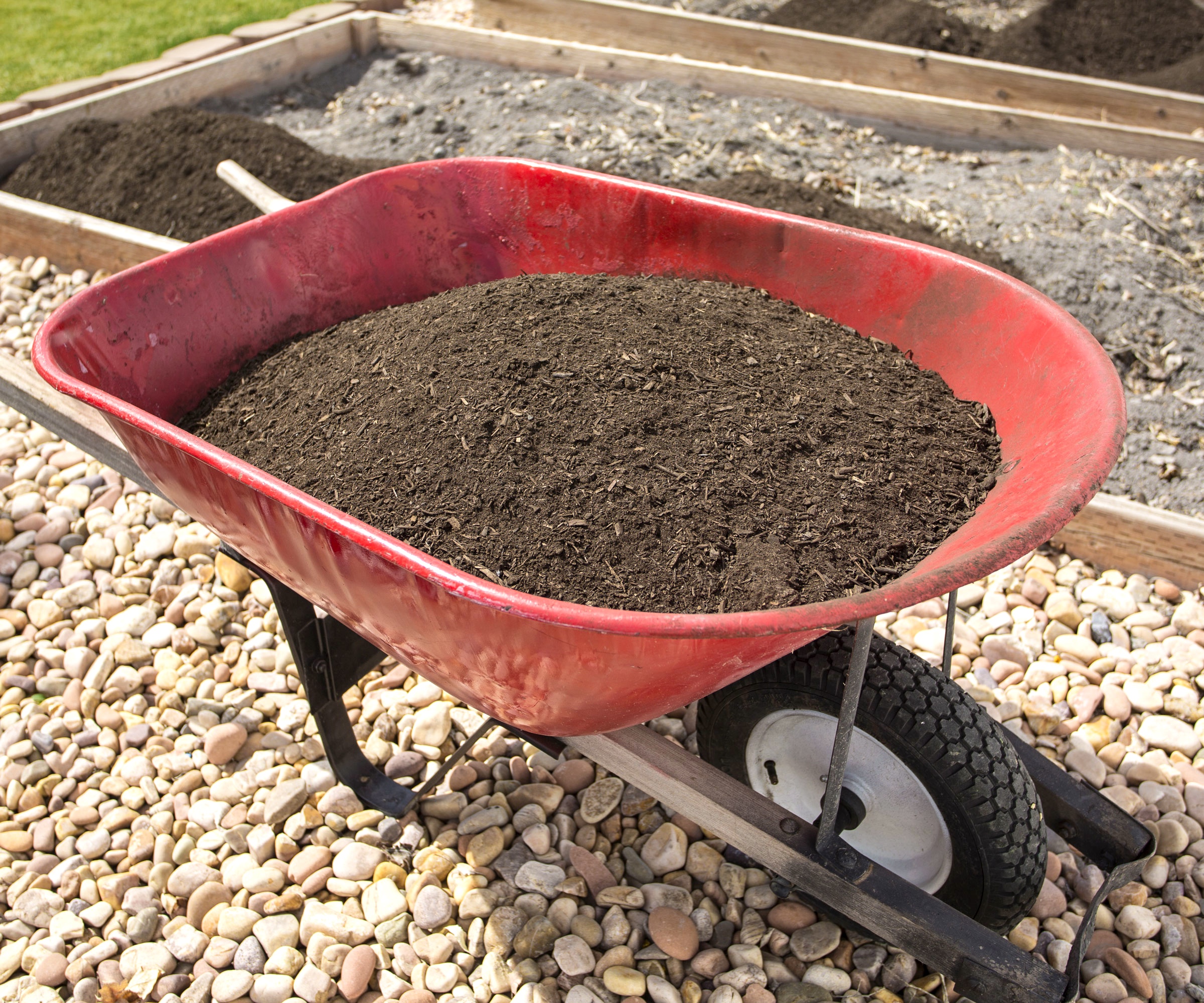 Turn Rocky Soil Into A Lush Plant Paradise – 4 Expert Tricks