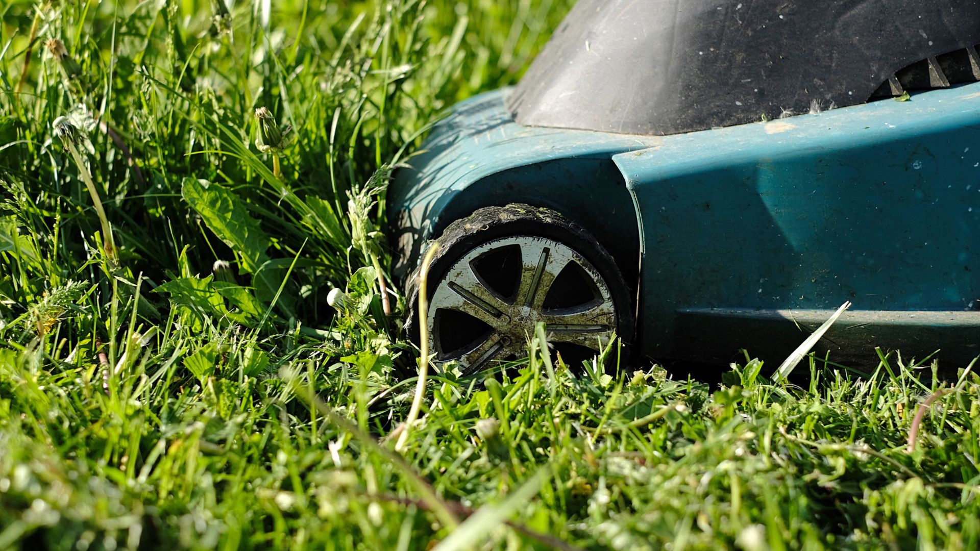picture of a lawn mower cutting grass in garden