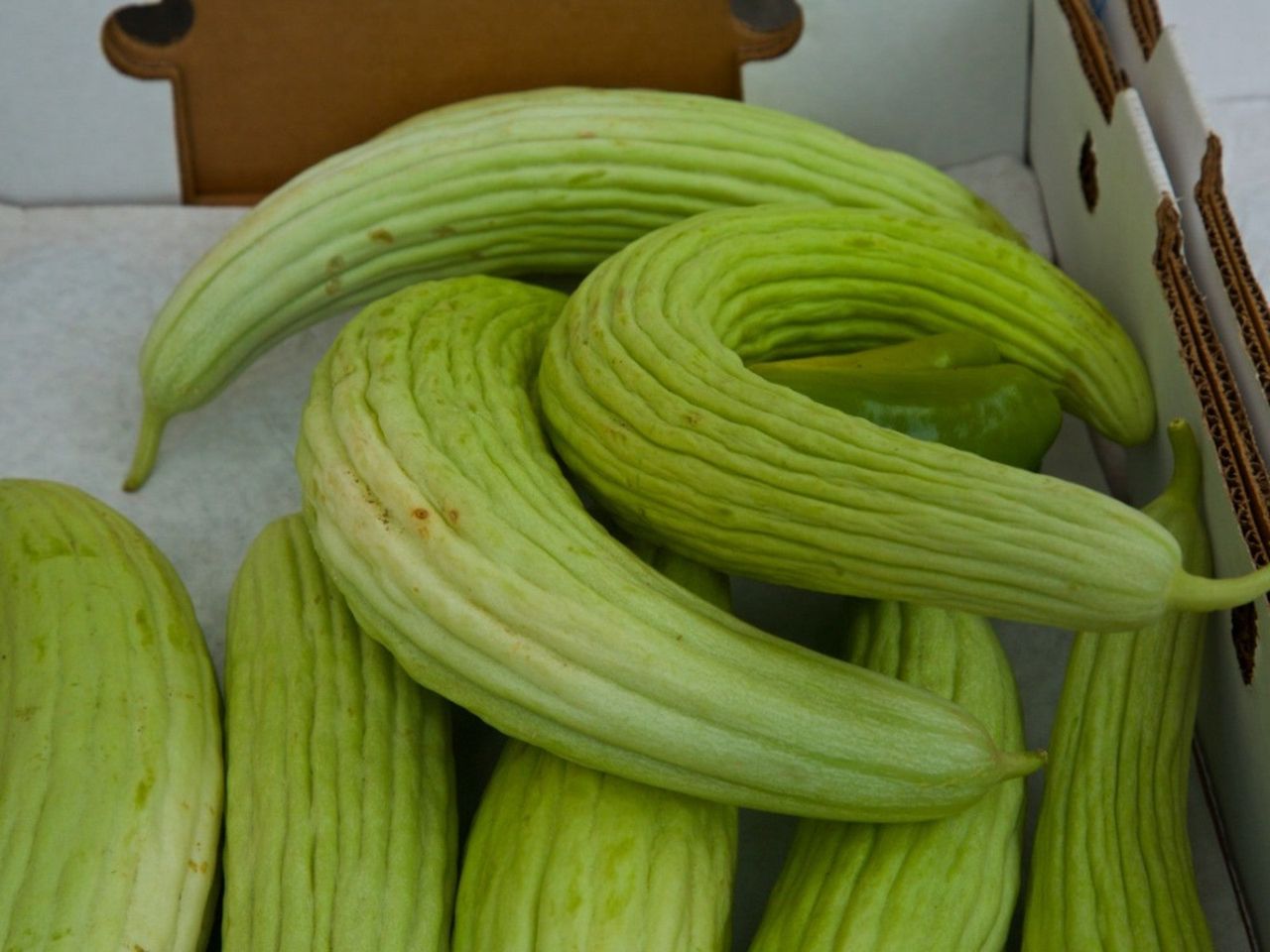 A Box Of Light Green Armenian Cucumbers