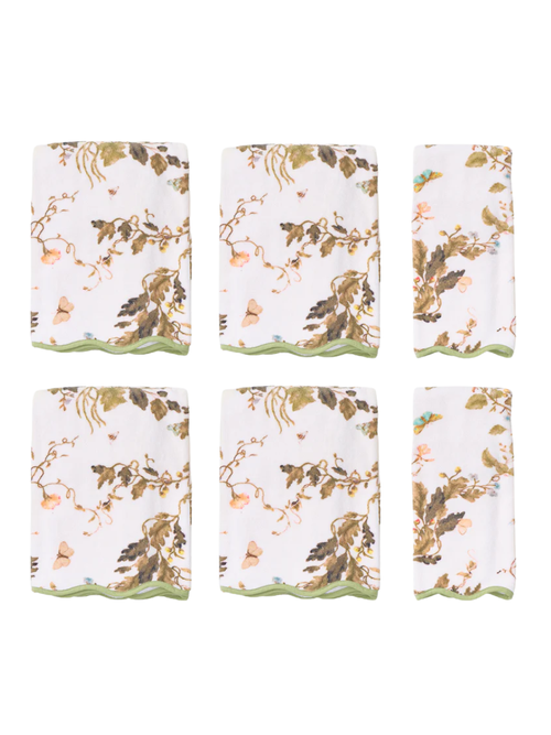 Floral Scallop Starter Pack