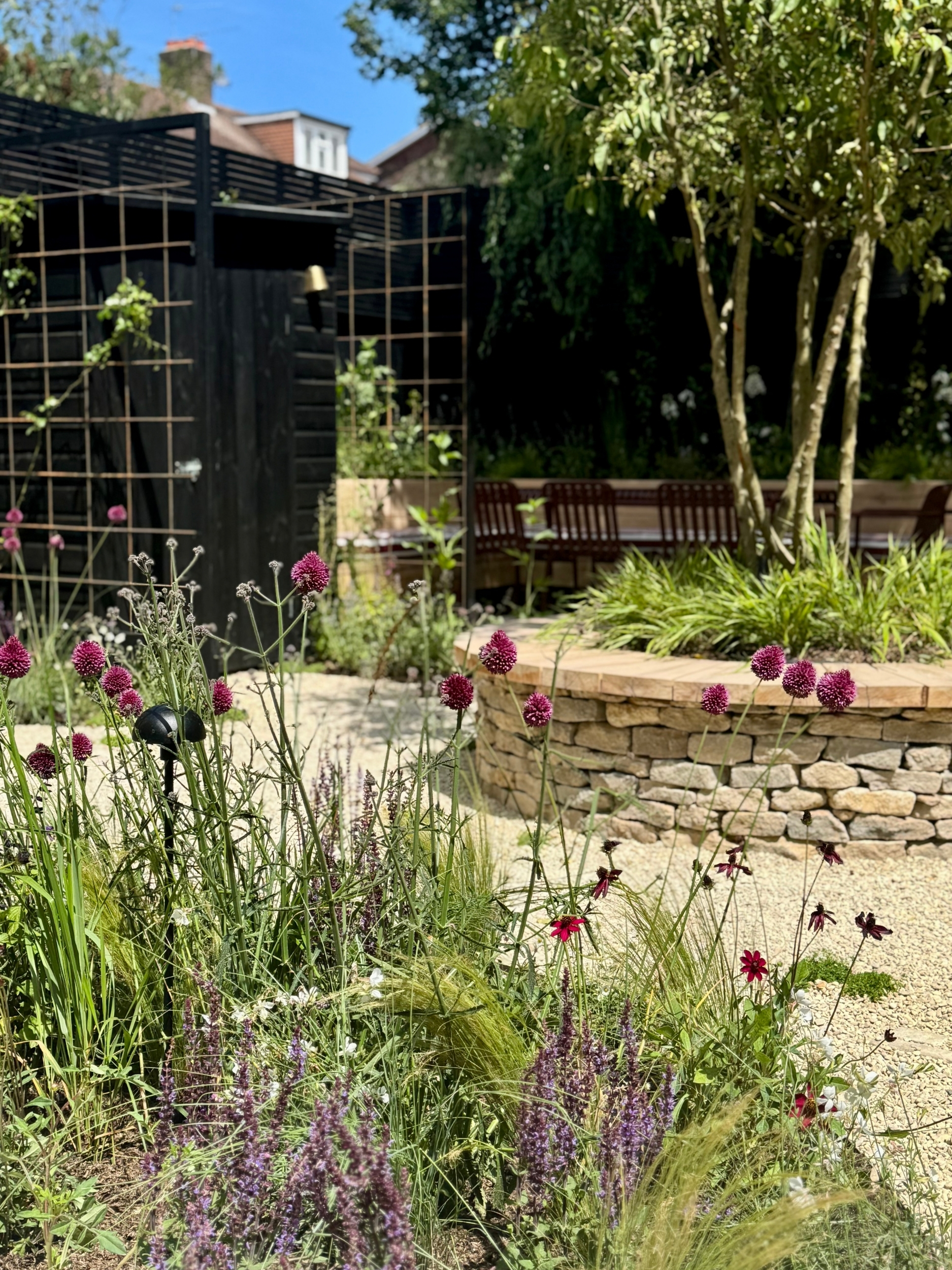 a close up of plants in a garden with purple flowers