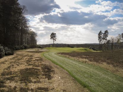 Swinley Forest _Hole_8_new_2