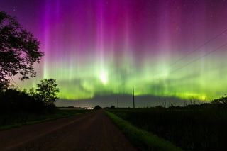 curtains of green light are topped with curtains of purple light for as far as the eyes can see, the entire sky is filled with color. Silhouetted trees are on the left of the image.