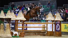 HOYS intermediate working hunter pony