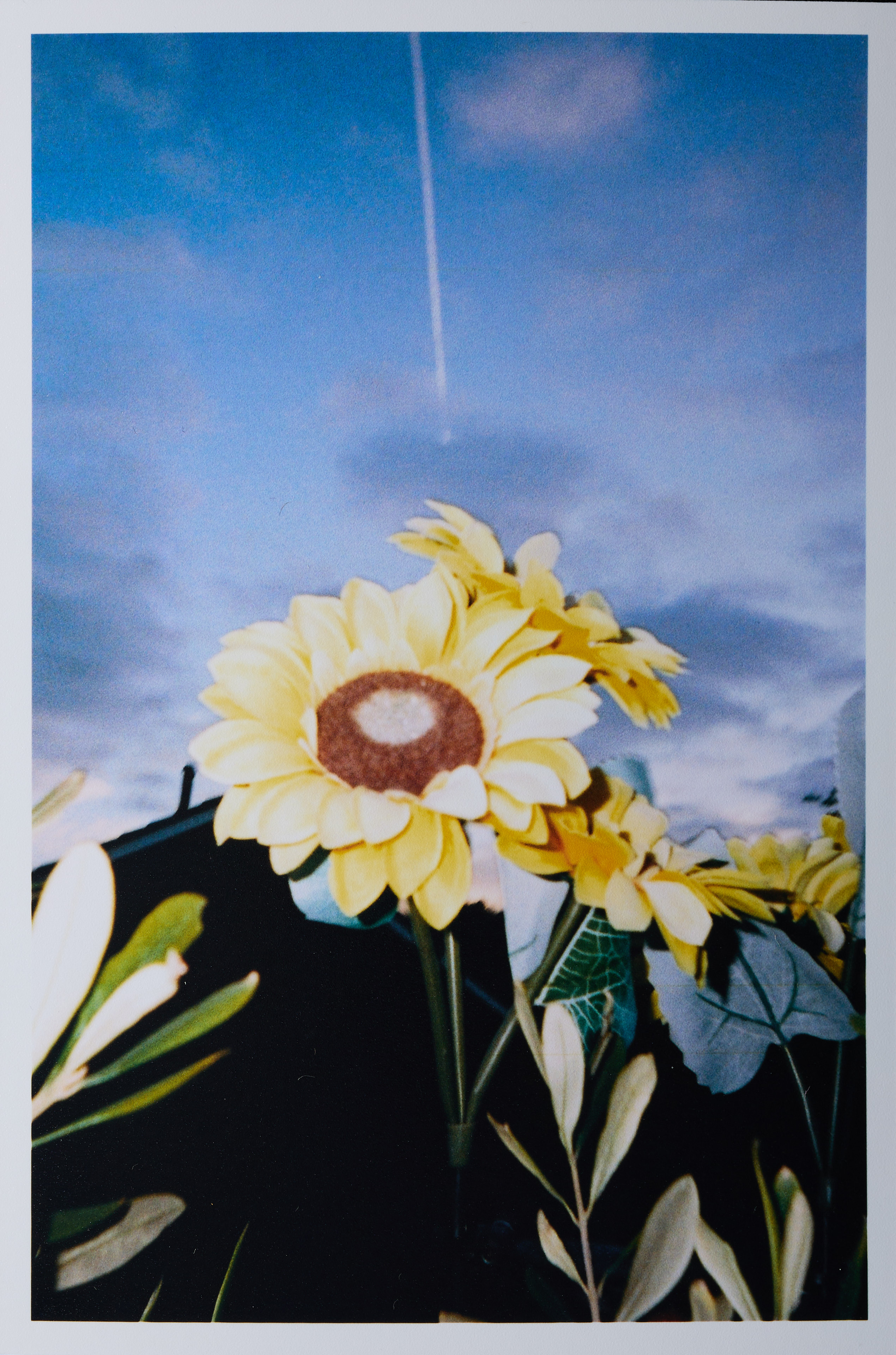 Kodak Ektar H35N sample image