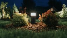 outdoor lighting