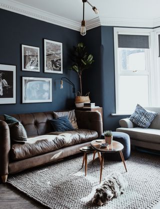 Dark blue deals living room walls