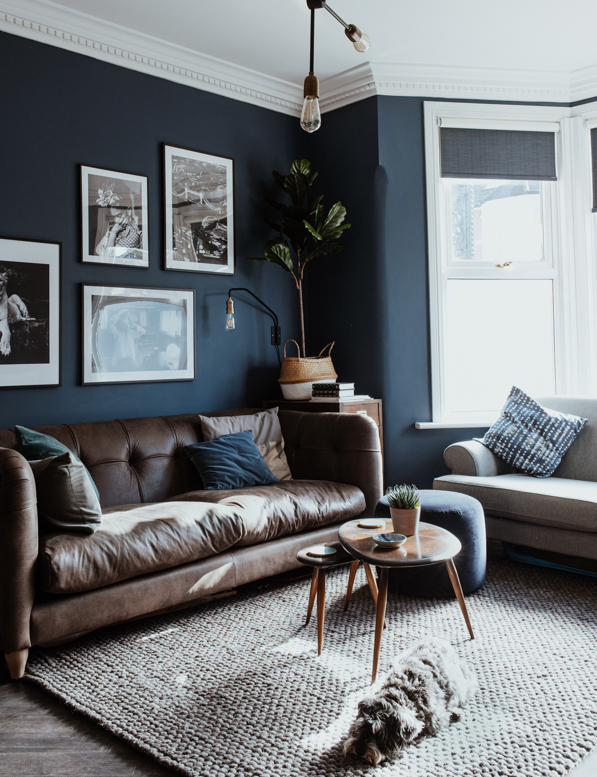 Blue Living Room With Brown Furniture Blue Living Room With Brown Furniture