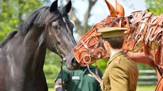 Commando-army-5.6.13-with-Joey-War-Horse-HRH-visit-7.jpg