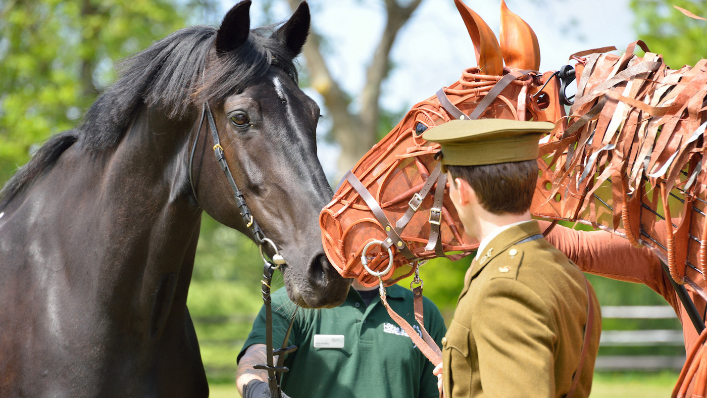 Commando-army-5.6.13-with-Joey-War-Horse-HRH-visit-7.jpg