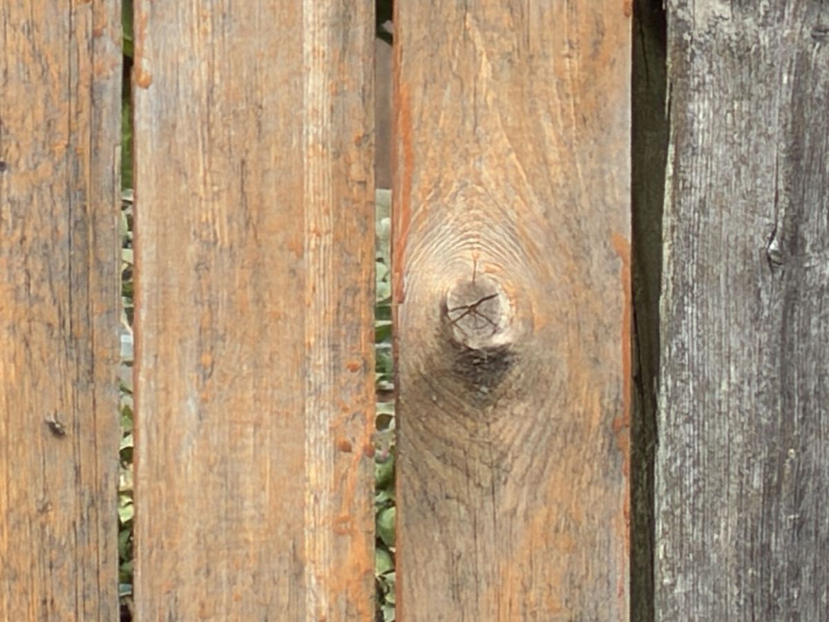 iPhone 17 Pro telephoto sample.