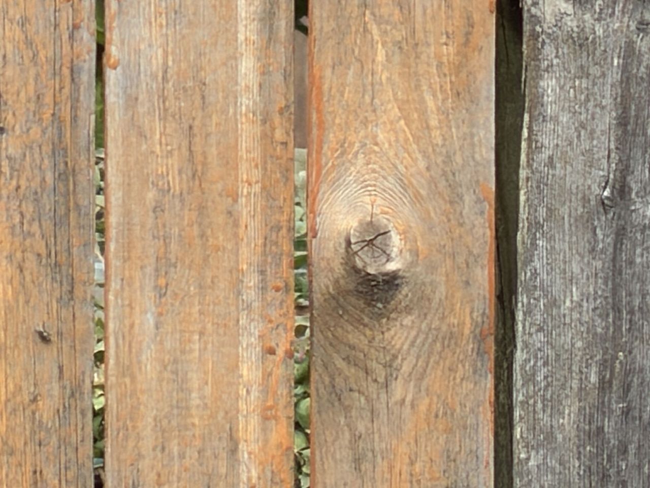 iPhone 17 Pro telephoto sample.