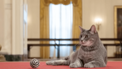 Willow Biden at the White House.