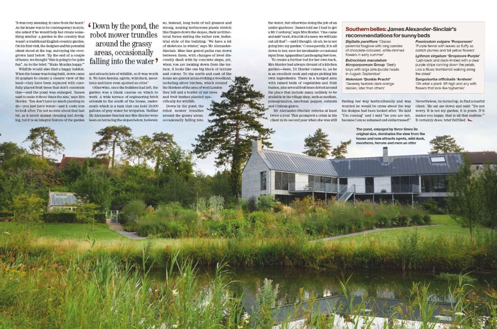 Country Life 23 July 2025 offers a celebration of greyhounds, steam power, pine martens and bedtime rituals.