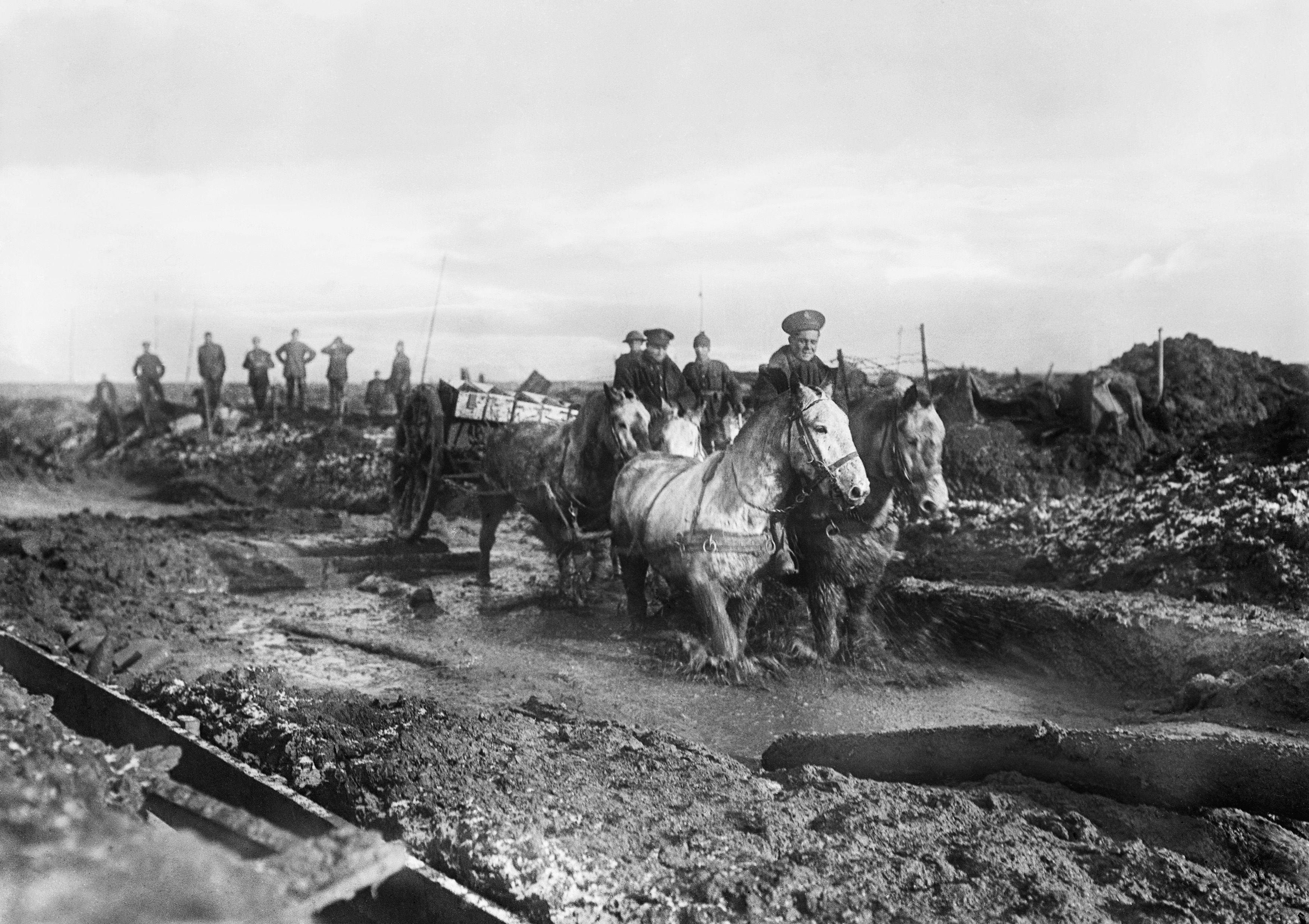 Crown Copyright. IWM horses war war horse