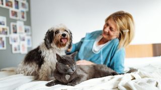 A woman is propped up on her elbow on a bed next to a friendly dog and Russian blue cat