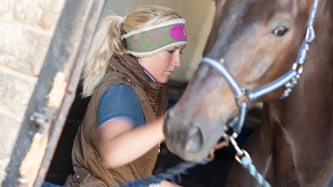 Access All Areas with Laura Collett at Windy Hollow Stables, 10 July 2014