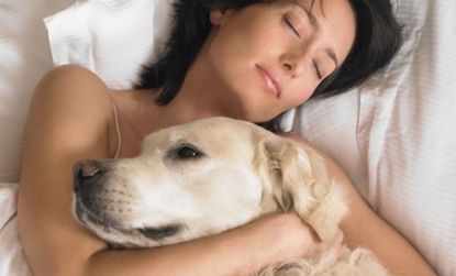 Cuddling with your pet may be comforting but it could also lead to meningitis or the plague, according to one report.