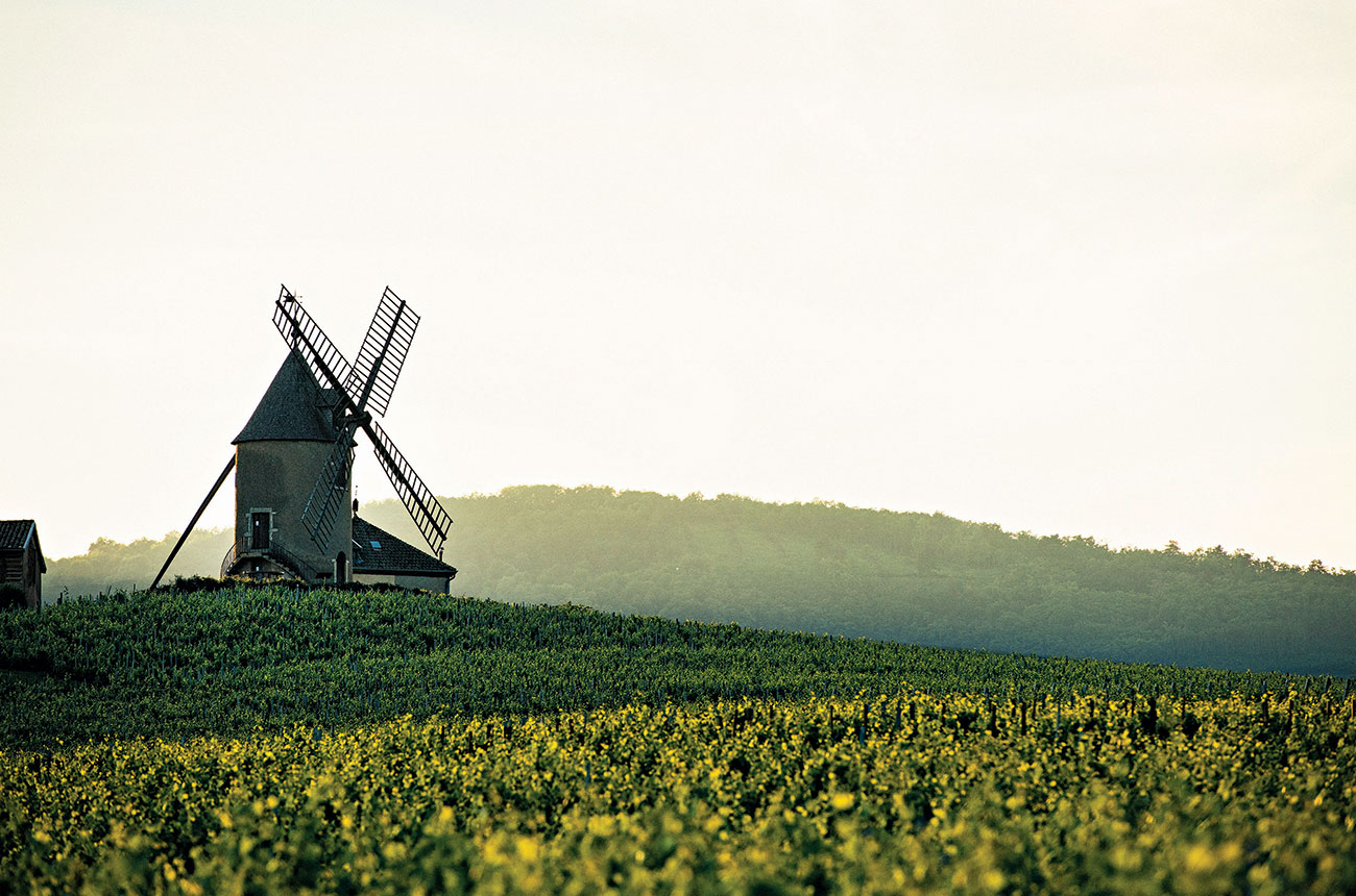 windmill, Ch&amp;acirc;teau du Moulin-&amp;agrave;-Vent