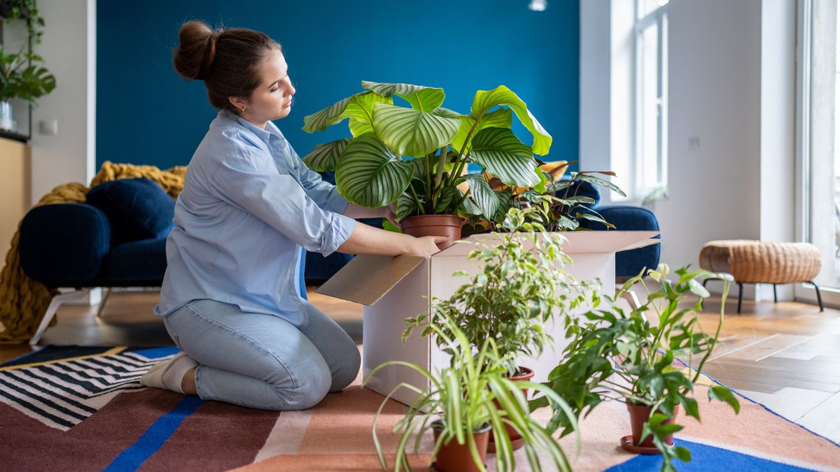 Can You Take Garden Plants With You When You Move? A Lawyer Explains the Do's and Don'ts to Avoid Legal Trouble