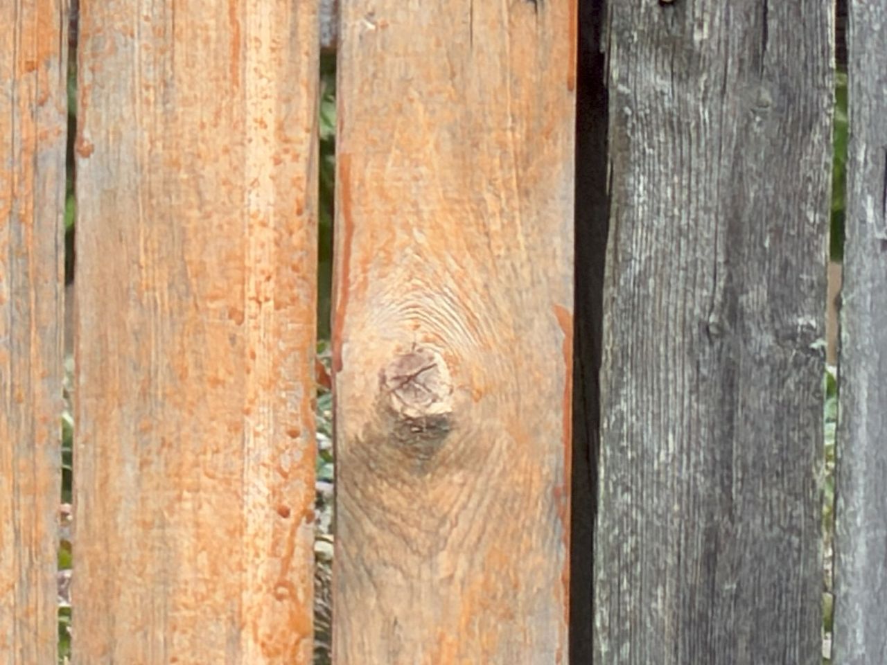 Apple iPhone 17 Pro zoom sample.