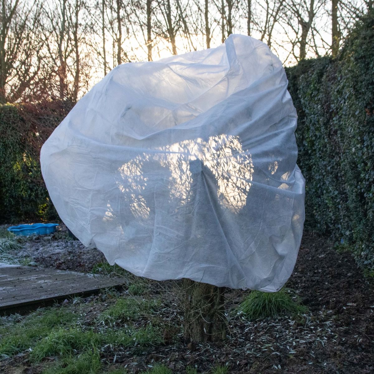 Extra Thick (30gsm) Extra Large Frost Protection Fleece Plant Jacket With Zipper &amp;amp; Drawstring Closing Cord (2.0m X 2.4m)