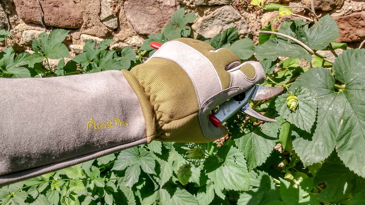 G+F Products 2431L Florist Pro Long Sleeve Rose Gardening Gloves