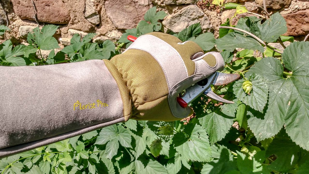 G+F Products 2431L Florist Pro Long Sleeve Rose Gardening Gloves