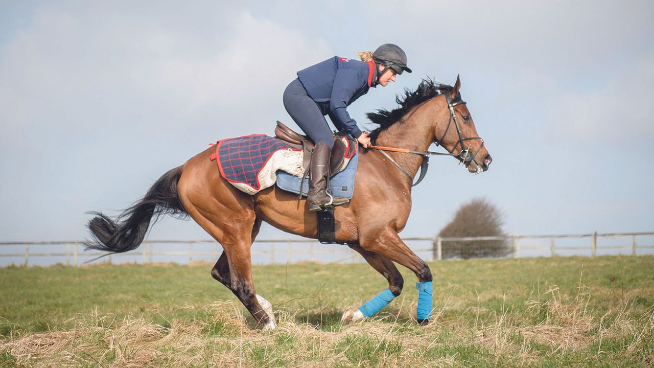 Tina Cook with Paddy's Poem (Paddy) at brother Nick Gifford's racing yard