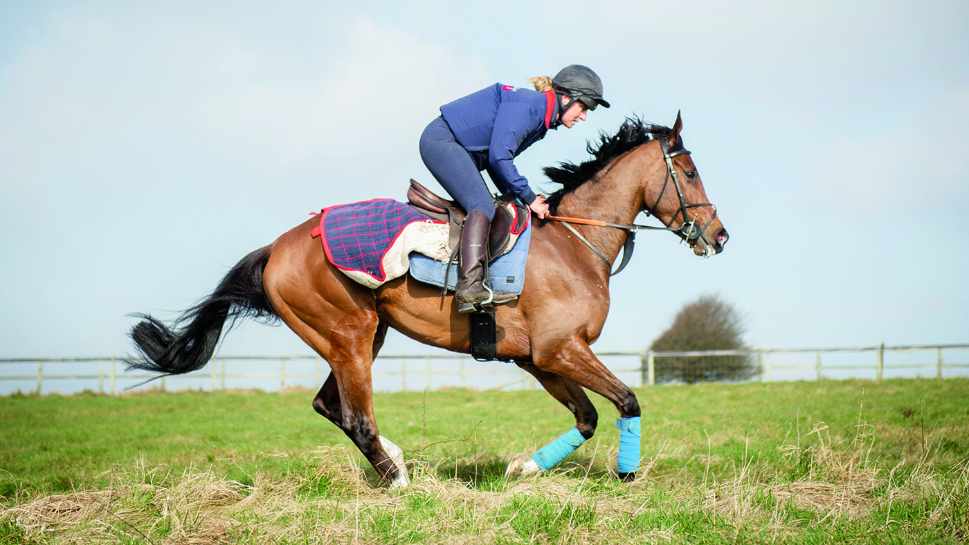 Tina Cook with Paddy's Poem (Paddy) at brother Nick Gifford's racing yard