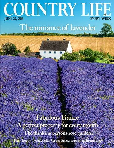 Country Life June 22 2016