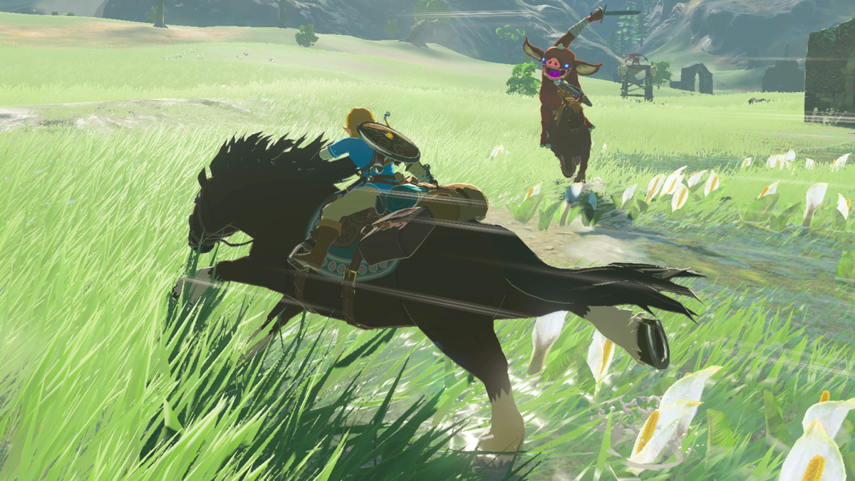 The Legend of Zelda: Breath of the Wild' Review: 'Zelda' Has Finally Lost  Its Way. And I Love It