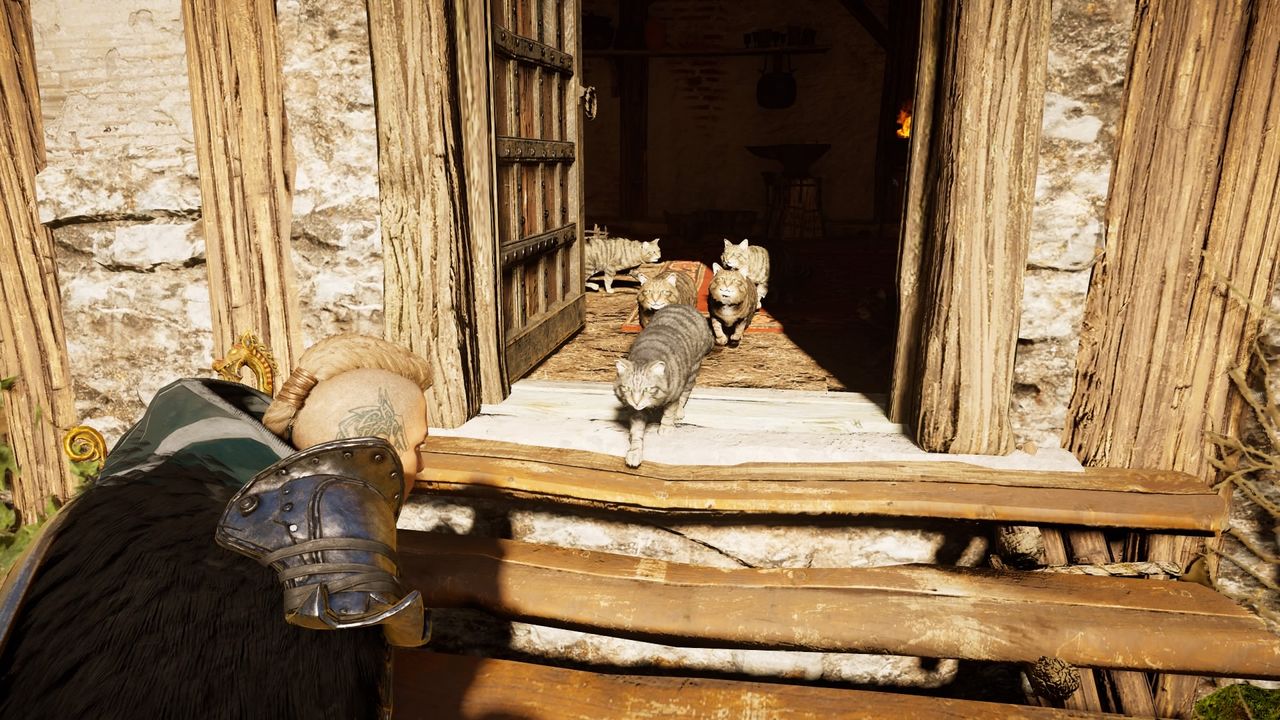 Assassin's Creed Valhalla