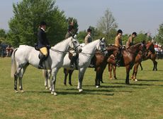 Line-up.jpg